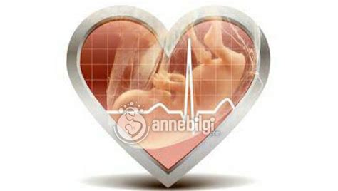 gebeliğin kaçıncı haftasında bebeğin kalp atışı duyulur